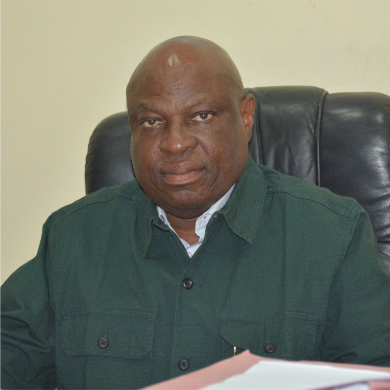 Col. Olumide Oluwaseun Kolajo (RTD)